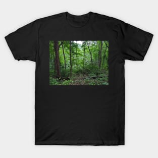 Trees in the Forest T-Shirt